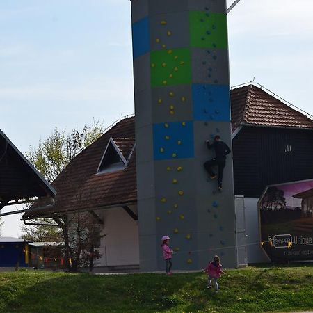 Apartamento Borovnica Catez Catez ob Savi Exterior foto